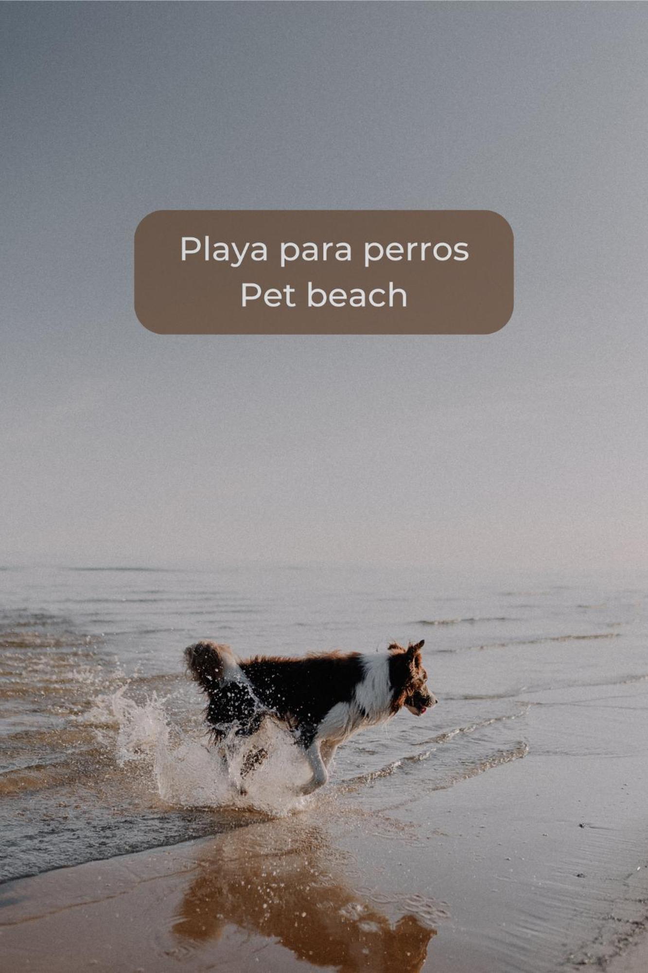 Pineapple Sorbet Piscina, Doble Terraza, Cocina Completa Y Wifi Daire Corralejo Dış mekan fotoğraf